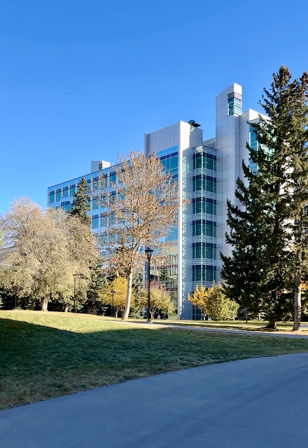 Rating Each of my Final Year Fall Courses (CS/CPSC @ UCalgary)